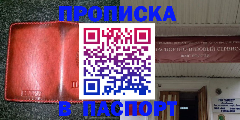 временная прописка в Шатуре